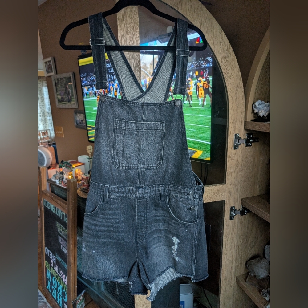 Hudson Black Denim Overalls Size LG NWT